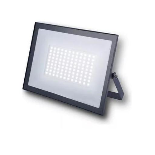 SPOTSLINE REFLECTOR LED 100W LUZ DIA