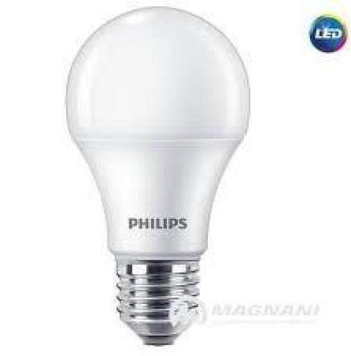 ECOHOME LED 10W  E27 6500K HV 1CT/20 AR
