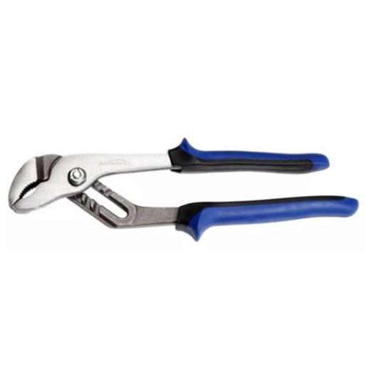 BARBERO PICO DE LORO 2