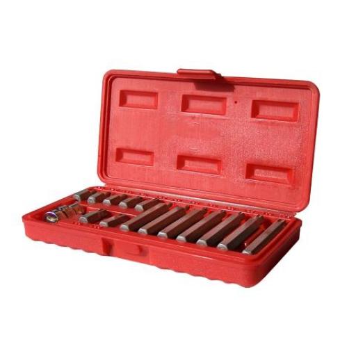 CROSSMASTER JUEGO PUNTAS TORX 15PZS T20 A T55