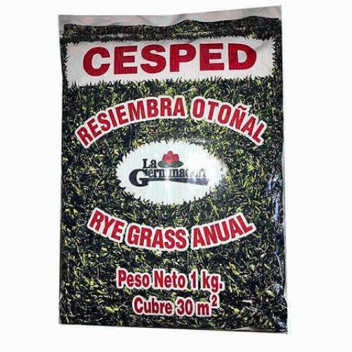 CESPED RESIEMBRA X 1KG.
