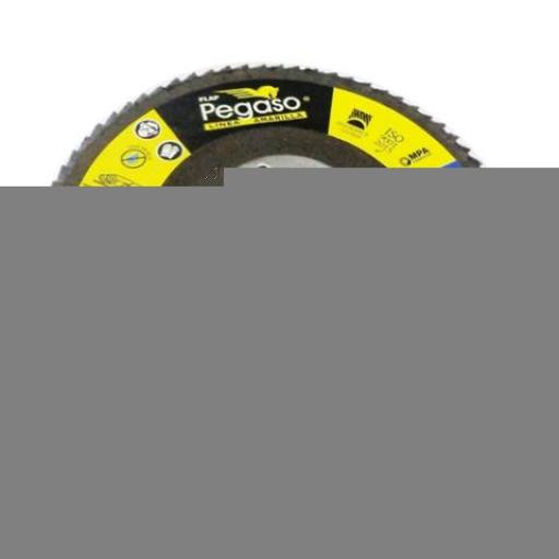 PEGASO DISCO FLAP 4