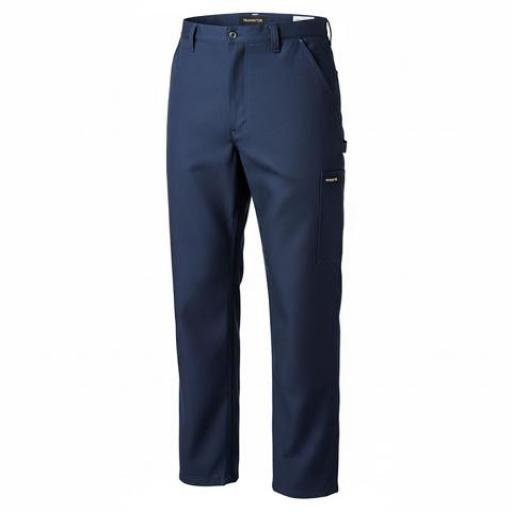 BGS PANTALON IGNIFUGO NOMEX 6OZ H TALLE 54