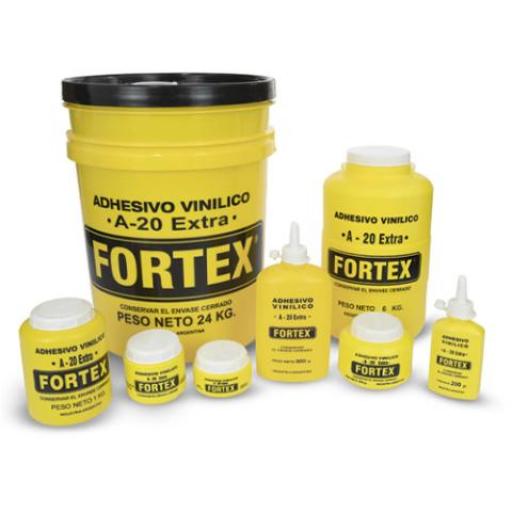 FORTEX COLA VINILICA X 24 KG.